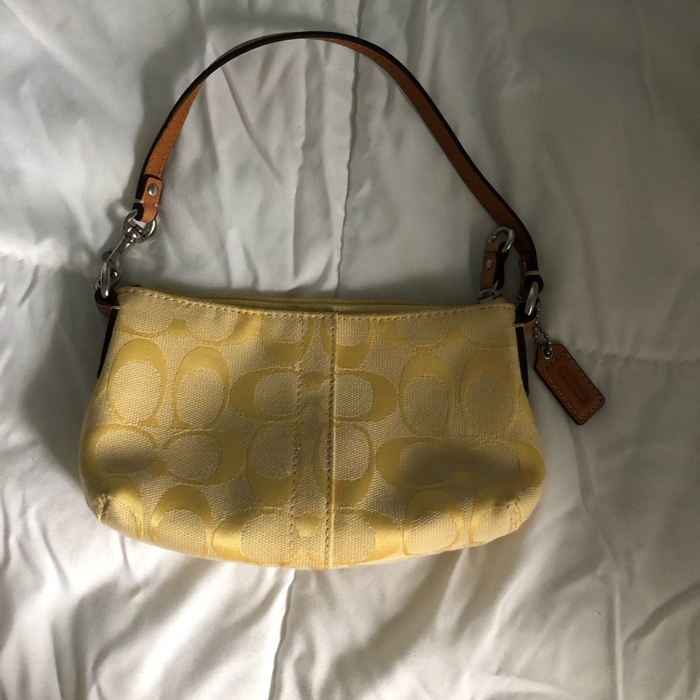 Mini purse